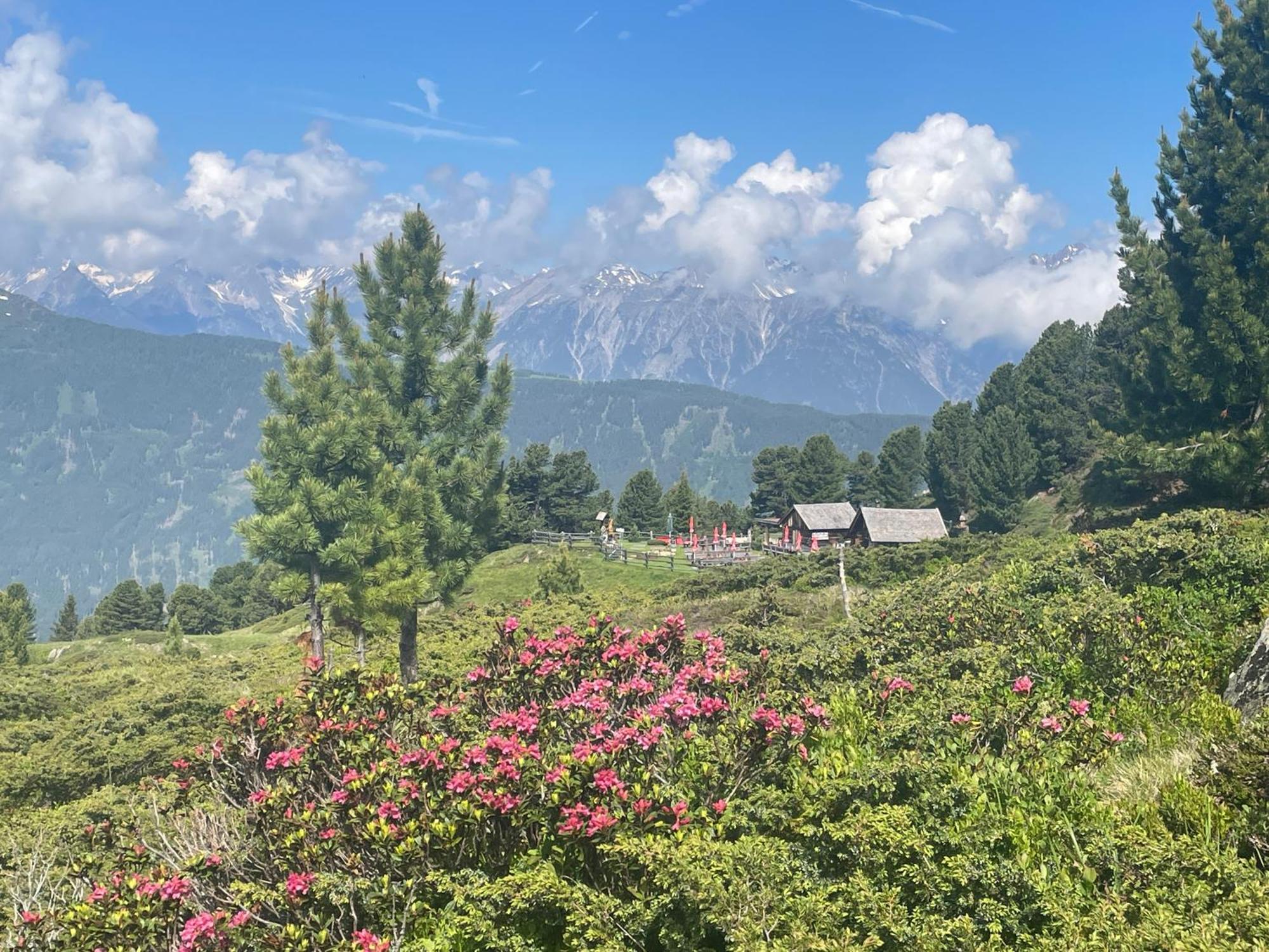 Tobadillerhof Villa Wenns Dış mekan fotoğraf